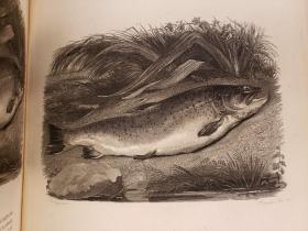 The Compleat Angler, or, the Contemplative Man's Recreation Being a Discourse of Rivers, Fish-Ponds, Fish and Fishing. With original Memoirs and Notes by Sir Charles Nicolas. Two volumes