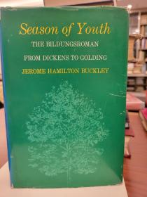 Season of Youth: the Bildungsroman from Dickens to Golding