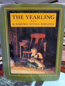 The Yearling illustrated by N. C. Wyeth