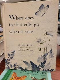 Where Does the Butterfly Go When It Rains with pictures by Leonard Weisgard