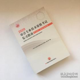 2020年审计专业技术资格考试复习指南【一版一印】