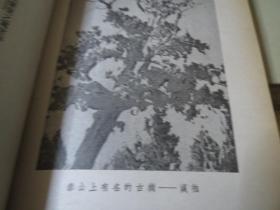 《老残游记》（全一册）  （正续集 合订本）（内有插图）  作者:  刘鹗 出版社:  广智书局出版