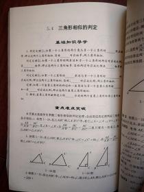 初中全程学习 （初二数学）1998一版一印（因式分解，分式、数的开方。二方根式，三角形，多边形，相似形，测试题及参考答案）