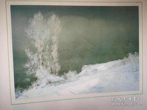 彩铜版插页（单张）。摄影作品《雾凇雪景》，记杭州铁路公安处乘警队