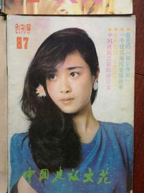 《中国建设文苑》试刊号，试刊2号，试刊3号，创刊号一套四册1987年有发刊词，封面傅艺伟任梦李媛美女，《山洞内的两具骷髅》《望鹤兰》，《并非幻想的故事》沈树立《人工流产》高伟杰《盖楼人》包凌权《工地进行曲》等，多幅插图，品好，成套少见，独品