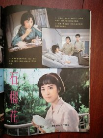 电影新作 封面龚雪 戴兆安《石榴花》，俞平《魂系蓝天》娜仁花《晨曲》，彩插页高长利《战斗年华》薛白《三家巷》张力维邵慧芳《R4之谜》，电影剧本《祸起萧墙》《天职》《犟眼子》