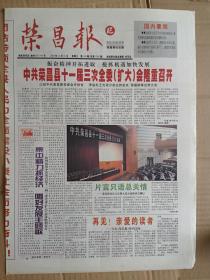 停刊号：荣昌报（重庆）2003年12月31日有停刊说明