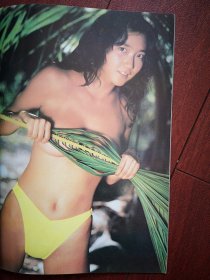 彩铜版泳装波霸美女写真插页16，单张