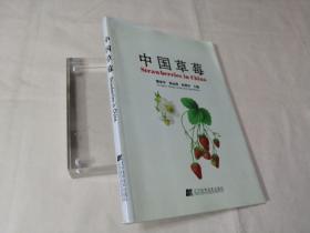 中国草莓（汉英对照）