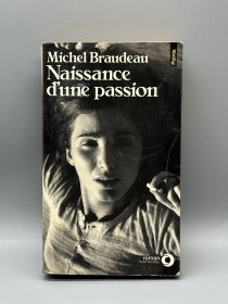 《激情的诞生》Naissance d'une passion de Michel Braudeau（法国近现代文学）