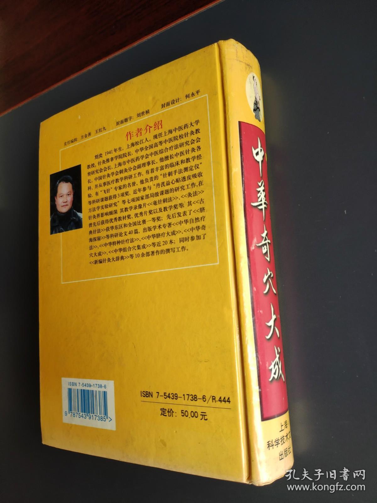 中华奇穴大成