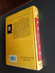中华奇穴大成