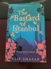 THE BASTARD OF ISTANBUL