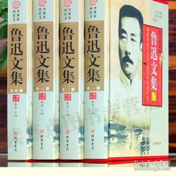 鲁迅文集 图文珍藏版杂文小说散文 鲁迅全集 中古现代当代文学名著 狂人日记朝花夕