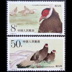 T134 褐马鸡 邮票
