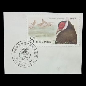 T134褐马鸡邮票盖纪念邮戳剪片1枚