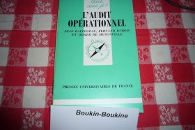 法文书 L'Audit Operationnel  de Diver (Auteur), J Raffegeau (Auteur)