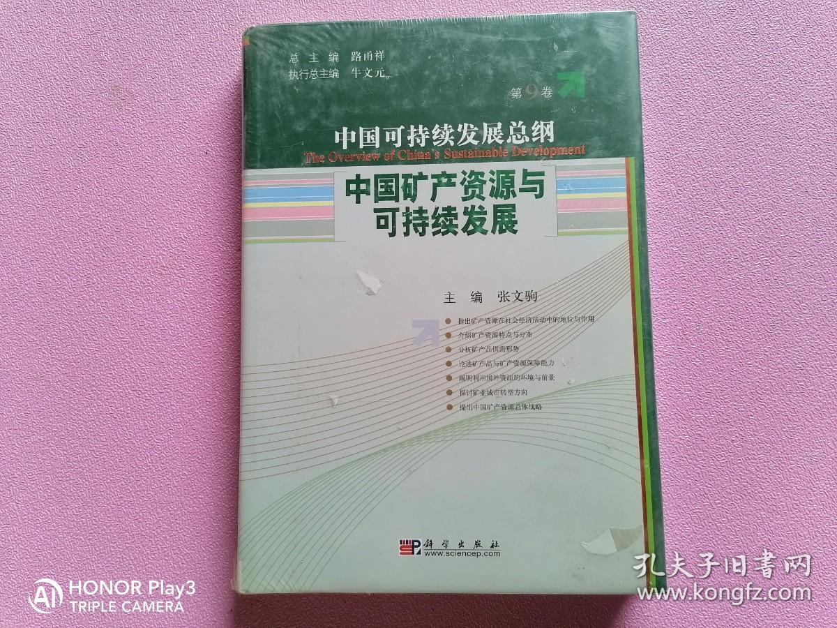 中国可持续发展总纲（第9卷）：中国矿产资源与可持续发展