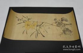 古画 月见草 着彩
