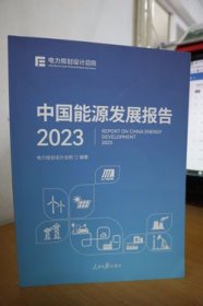 2023中国能源发展报告