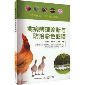 全新正版图书 禽病病理诊断与彩色图谱王新华中国农业出版社9787109306936