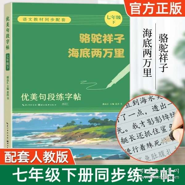 世界文学名著：海底两万里