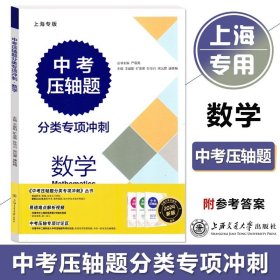 (上海)中考压轴题分类专项冲刺 化学