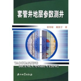 套管井地层参数测井