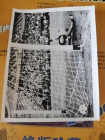 纪录历史的老照片  1978年 第十一届世界杯足球赛  15ⅹ11.3cm   1519
