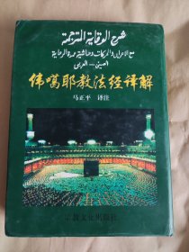 伟噶耶教法经译解:中阿对照（第二册）