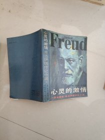 心灵的激情 下