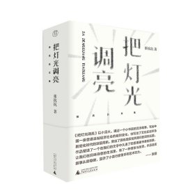 纯粹·把灯光调亮   张抗抗 /著   中篇小说  小说集  文学   广西师范大学出版社