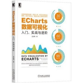 二手正版ECharts数据可视化:入门实战与进阶 王大伟9787111669883