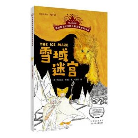 雪域迷宫-儿童文学金奖书系 北京少年儿童出版社 新华正版