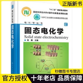 能源电化学丛书 固态电化学 杨勇 固态电化学原理方法 固态电化学基础知识 电源体系应用 材料结构分析 电子离子输运 材料模拟计算