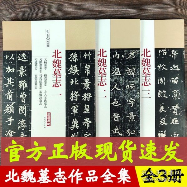 历代名家碑帖经典 北魏墓志全集全3册 魏碑体元桢墓志穆亮墓志元遥墓志司马显姿墓志墓志铭魏碑体书法毛笔字帖 弘蕴轩