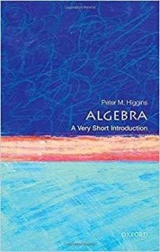 英文原版  牛津通识读本：代数   Algebra: A Very Short Introducti