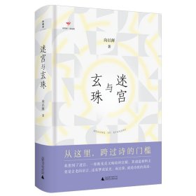 诗想者·读经典 迷宫与玄珠 向以鲜/著 诗歌研究   随笔 广西师范大学出版社