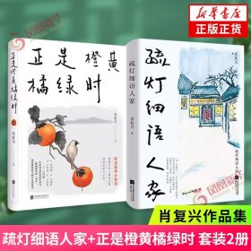 疏灯细语人家+正是橙黄橘绿时 套装2册 肖复兴作品集  收录肖复兴不同时期创作的散文作品 现当代文学散文随笔作品集 新华书店正版