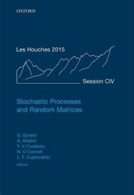 【预订】Stochastic Processes and Random Matrices