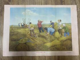 1954年对开宣传画《 麦收中的妇女小组》