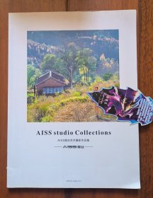 AISS美丝艺术摄影作品集 年度特刊 大开本 铜版纸彩色精印 品佳 美不胜收