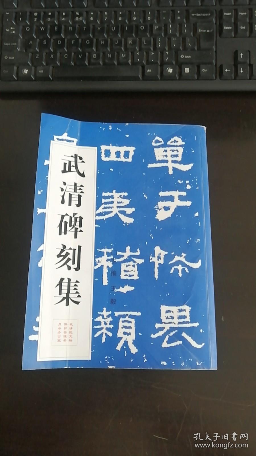 武清碑刻集 （16开 厚本868页） 王毅    天津市武清区文物保护委员