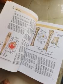 Gray's Anatomy for Students 学生用解剖学 volume1.2