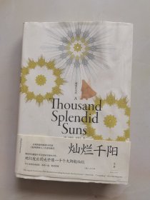 灿烂千阳（全新装帧，精装纪念版，女性版《追风筝的人》）