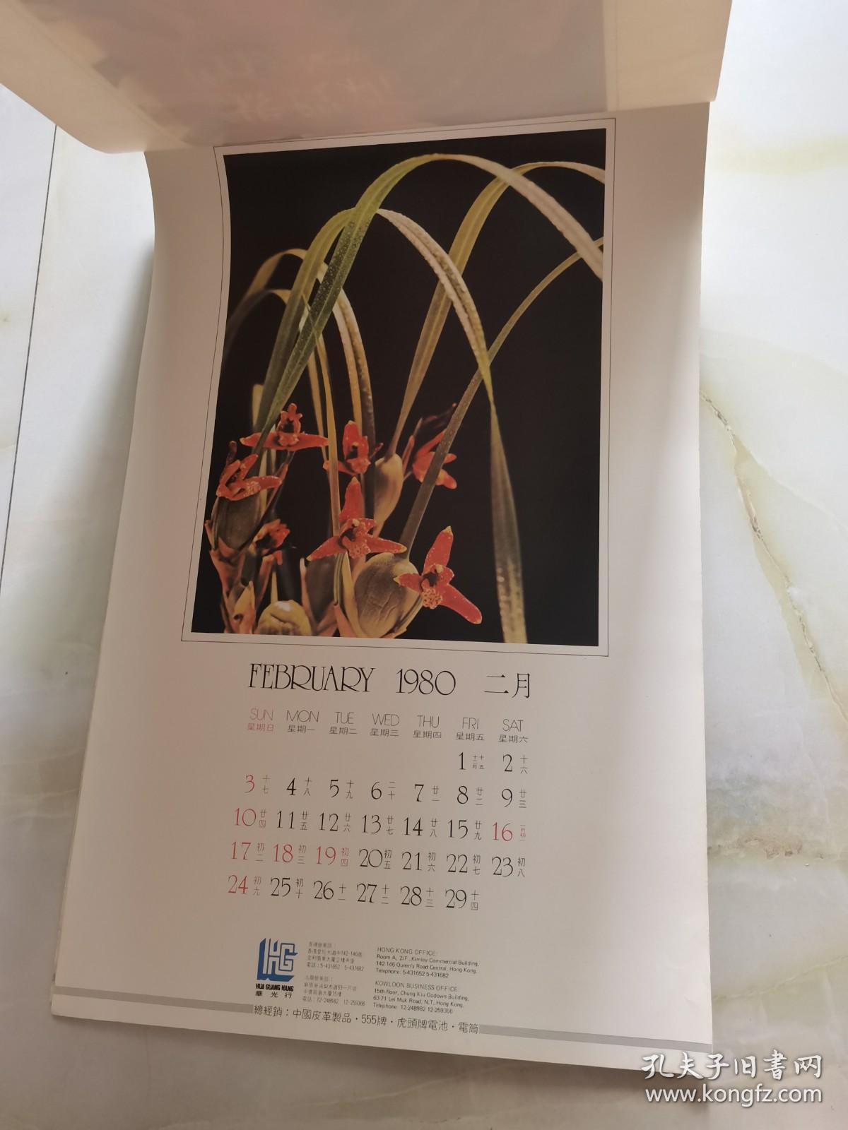 1980年 挂历 恭贺新禧  12月全花蕾 看实物图 卷筒发货