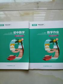 平行线 初中数学九年级数学睿学A2021暑假教材+作业127页