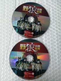 野狼销售宝典 2DVD