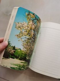 精美丝绸布面 日记本 内页干净无笔记 扉页和第二页有字