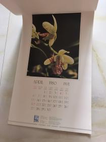 1980年 挂历 恭贺新禧  12月全花蕾 看实物图 卷筒发货